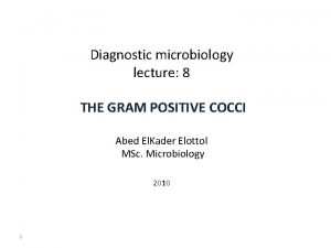 Diagnostic microbiology lecture 8 THE GRAM POSITIVE COCCI