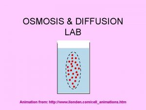 OSMOSIS DIFFUSION LAB Animation from http www lionden