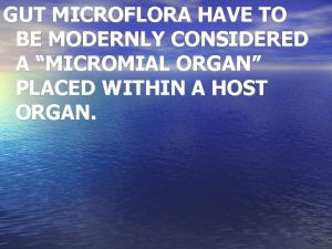 GUT MICROFLORA HAVE TO BE MODERNLY CONSIDERED A