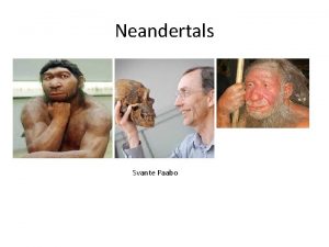 Neandertals Svante Paabo Neandertals First appear in the