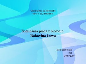 Gymnzium na Hubenho ulici 23 Bratislava Seminrna prca