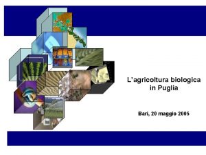 Lagricoltura biologica in Puglia Bari 20 maggio 2005