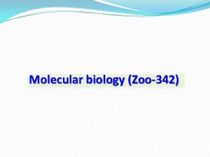Molecular biology Zoo342 Aims of the Molecular Biology