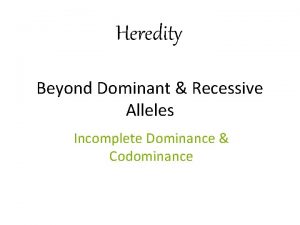 Heredity Beyond Dominant Recessive Alleles Incomplete Dominance Codominance