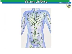 Sistema Linftico Prof Marcus Ferrassoli Sistema Linftico Prof