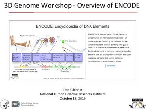 3 D Genome Workshop Overview of ENCODE Dan