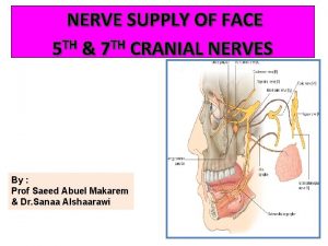 NERVE SUPPLY OF FACE TH TH 5 7
