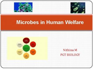 Microbes in Human Welfare Nithina M PGT BIOLOGY