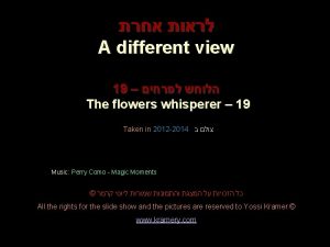 A different view 19 The flowers whisperer 19