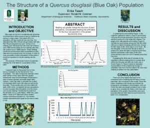 The Structure of a Quercus douglasii Blue Oak