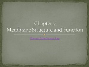 Chapter 7 Membrane Structure and Function Plasma Membrane