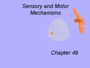 Sensory and Motor Mechanisms Chapter 49 Sensory and