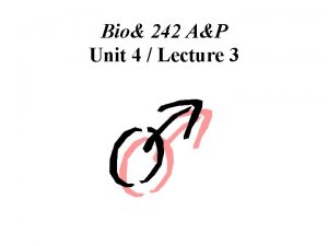 Bio 242 AP Unit 4 Lecture 3 Anatomy