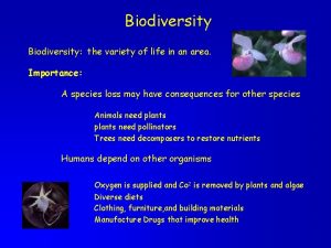 Biodiversity the variety of life in an area