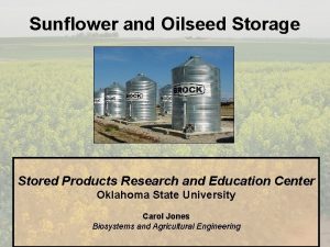 Sunflower and Oilseed Storage Stored Products Research and