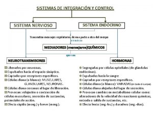 SISTEMAS DE INTEGRACIN Y CONTROL SISTEMA NERVIOSO SISTEMA