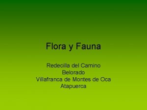 Flora y Fauna Redecilla del Camino Belorado Villafranca