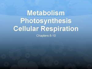 Metabolism Photosynthesis Cellular Respiration Chapters 8 10 Metabolism