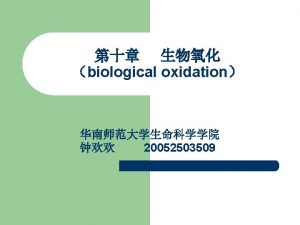 l Chemical coupling hypothesis Conformational coupling hypothesis Chemiosmotic