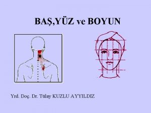 BA YZ ve BOYUN Yrd Do Dr Tlay