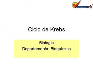 Ciclo de Krebs Biologia Departamento Bioqumica O ciclo