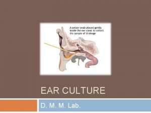 EAR CULTURE D M M Lab Ear Culture