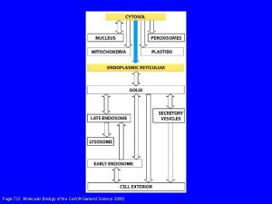 Page 723 Molecular Biology of the Cell Garland