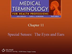 Chapter 11 Special Senses The Eyes and Ears