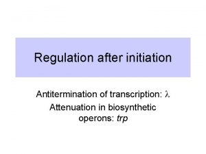 Regulation after initiation Antitermination of transcription l Attenuation