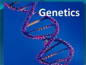 Genetics Genetics the study of heredity Heredity the