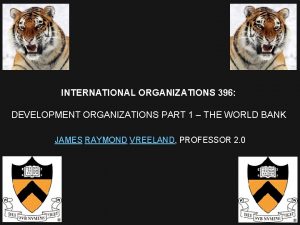 INTERNATIONAL ORGANIZATIONS 396 DEVELOPMENT ORGANIZATIONS PART 1 THE