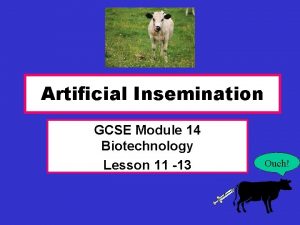 Artificial Insemination GCSE Module 14 Biotechnology Lesson 11
