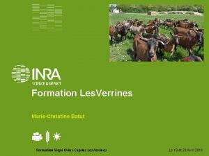 Formation Les Verrines MarieChristine Batut Formation Sicpa OvinsCaprins