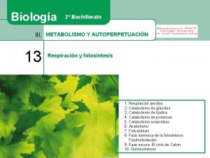 Biologa 2 Bachillerato III METABOLISMO Y AUTOPERPETUACIN 13