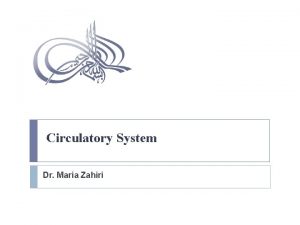 Circulatory System Dr Maria Zahiri Cardiovascular System Consists