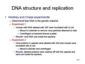 DNA structure and replication Hershey and Chase experiments