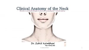 Clinical Anatomy of the Neck The neck is