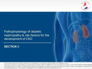 Pathophysiology of diabetic nephropathy risk factors for the