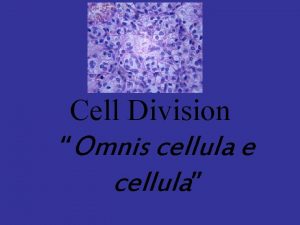 Cell Division Omnis cellula e cellula The Key