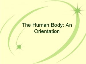 The Human Body An Orientation The Human Body