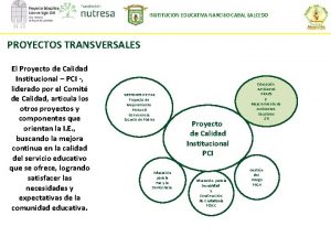 INSTITUCION EDUCATIVA NARCISO CABAL SALCEDO PROYECTOS TRANSVERSALES El