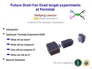Future DrellYan fixed target experiments at Fermilab Wolfgang