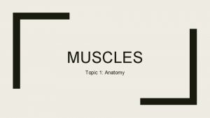 MUSCLES Topic 1 Anatomy Starter Group Activity Decide