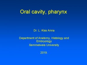 Oral cavity pharynx Dr L Kiss Anna Department