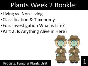 Plants Week 2 Booklet Living vs NonLiving Classification