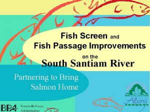 Fish Screen and Fish Passage Improvements on the