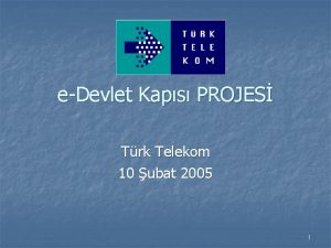 eDevlet Kaps PROJES Trk Telekom 10 ubat 2005