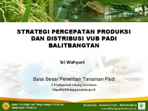 STRATEGI PERCEPATAN PRODUKSI DAN DISTRIBUSI VUB PADI BALITBANGTAN