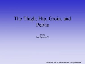 The Thigh Hip Groin and Pelvis PE 236