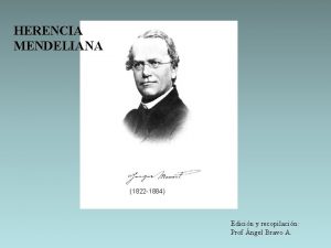 HERENCIA MENDELIANA 1822 1884 Edicin y recopilacin Prof